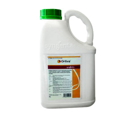Ortiva - 5 lt