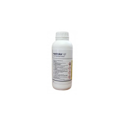 Pantera QT - 5 lt