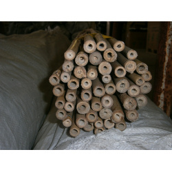 Kůl bambus 210 cm/18-20 mm (100 ks/bal)