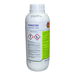 Forester - 1 lt