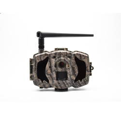 Fotopast BOLY Guard MG984G-36MHD (+SD karta 32 GB)
