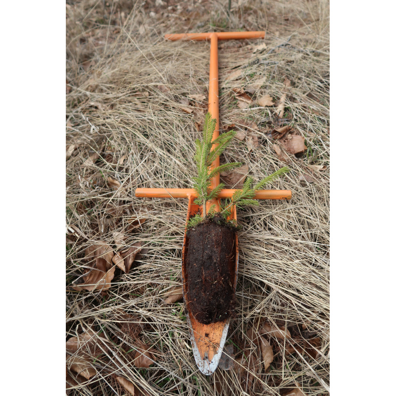 Rýč dutý – důlkovač pánský, 115 cm